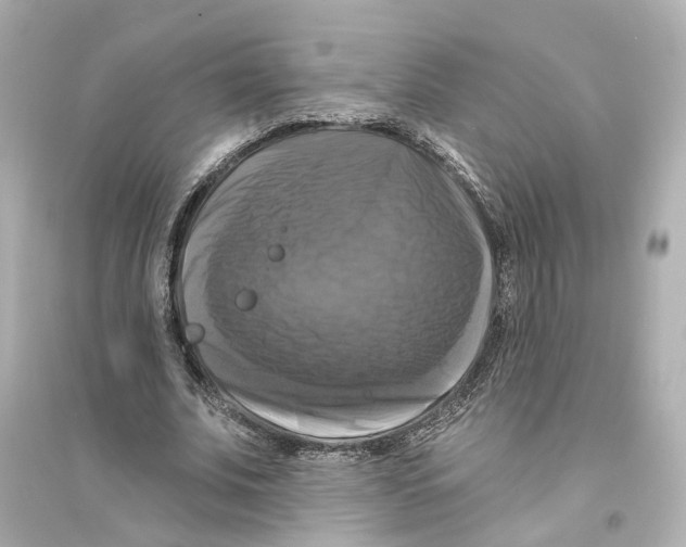 X0000093740679200711131102
