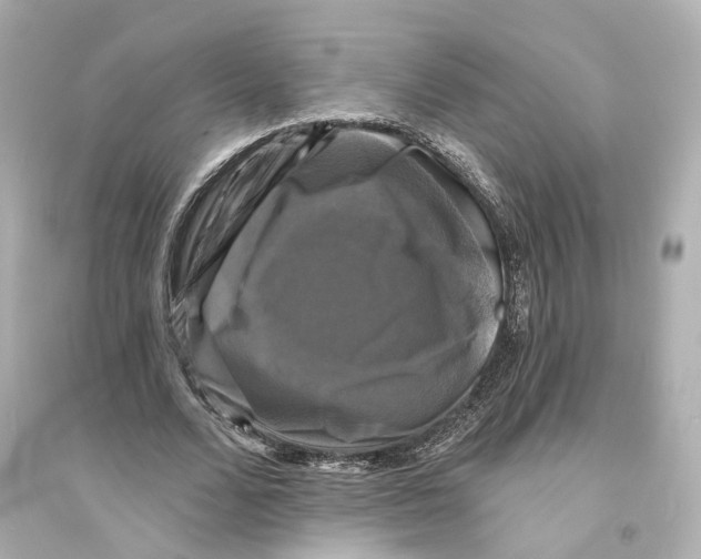 X0000093740680200711131102