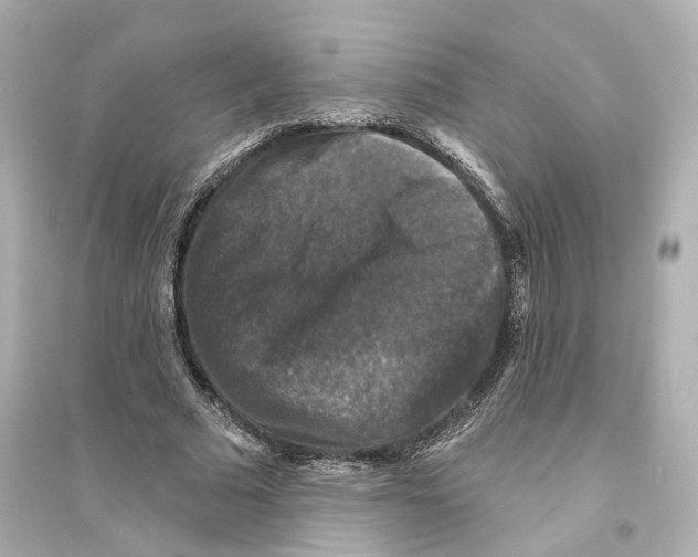 X0000093740681200711131102