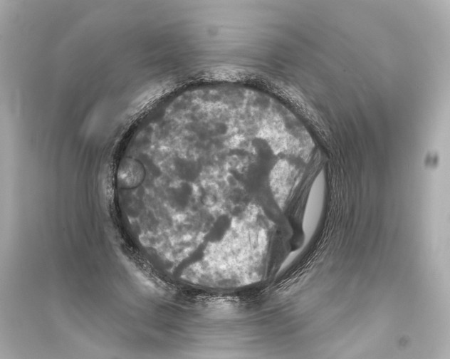 X0000093740683200711131102