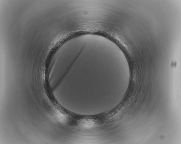 X0000093740685200711131102