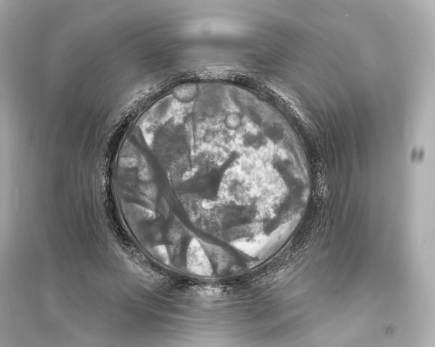 X0000093740687200711131102