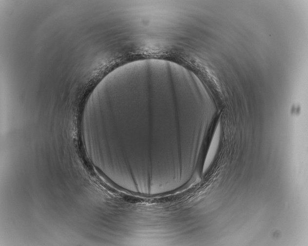 X0000093740689200711131102