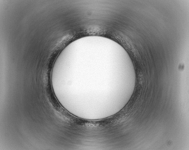 X0000093740690200711131102