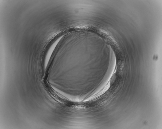 X0000093740692200711131102