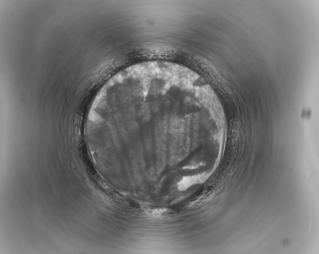 X0000093740695200711131102