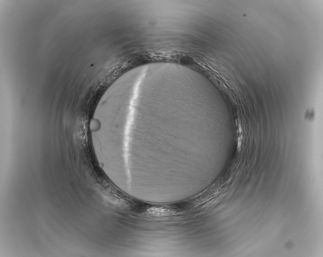 X0000093740699200711131102