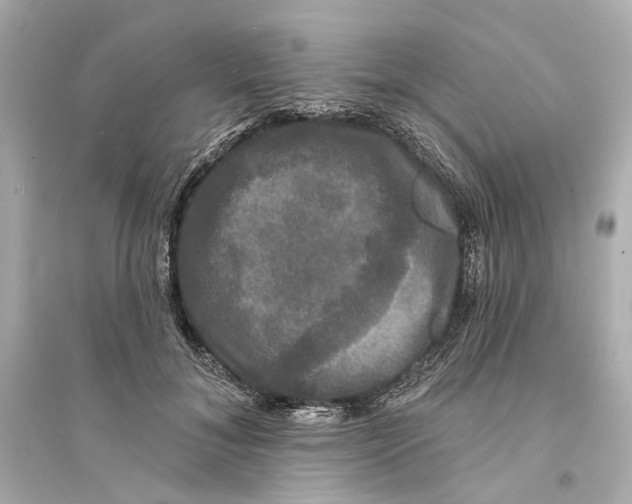 X0000093740700200711131102
