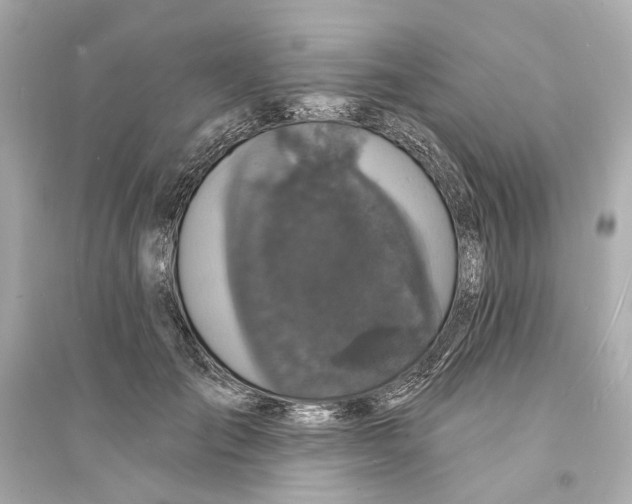 X0000093740701200711131102