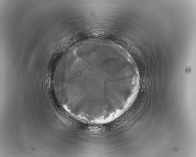 X0000093740703200711131102