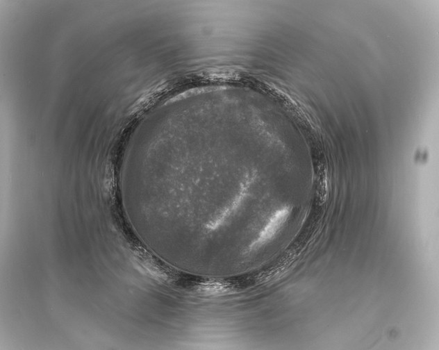 X0000093740704200711131102