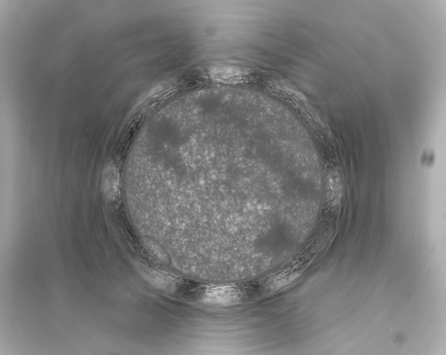 X0000093740705200711131101
