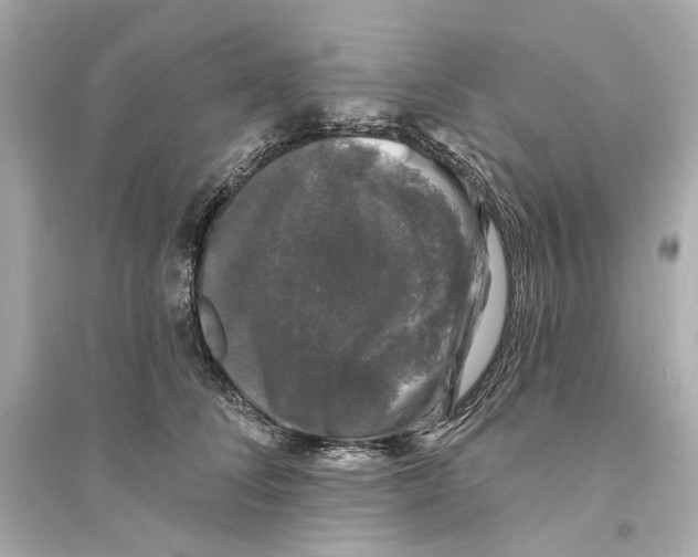 X0000093740708200711131101