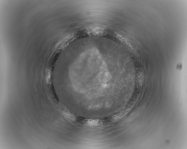 X0000093740709200711131101