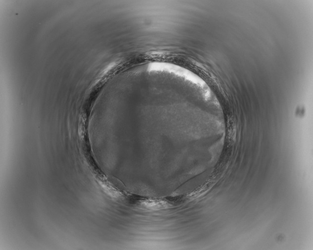 X0000093740712200711131101