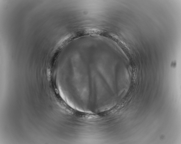 X0000093740716200711131101