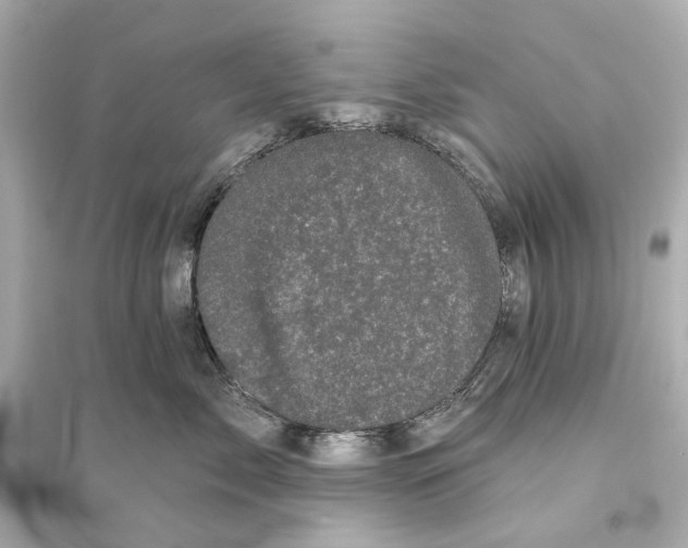 X0000093740717200711131101