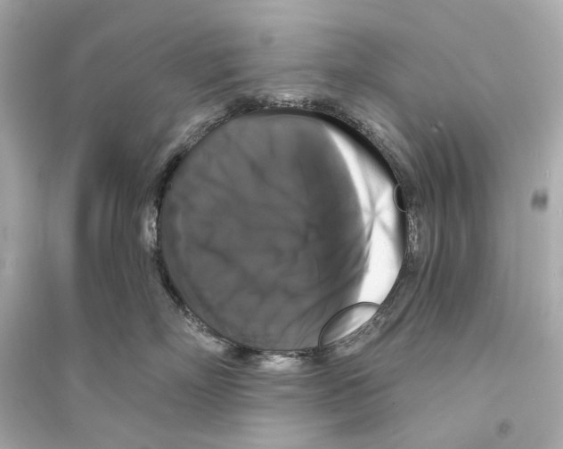 X0000093740718200711131101