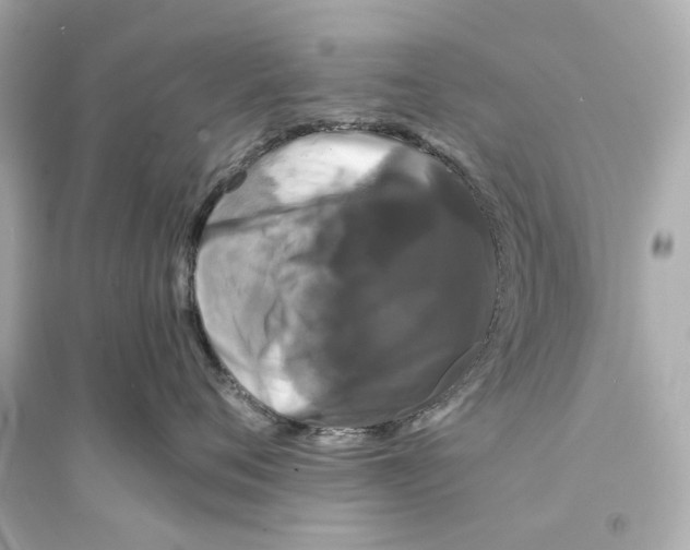 X0000093740720200711131101