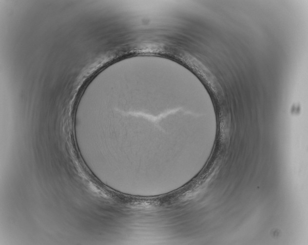 X0000093740721200711131101