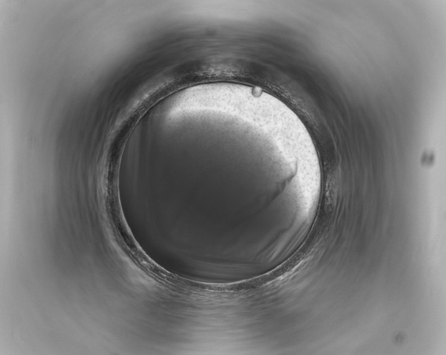 X0000093740722200711131101