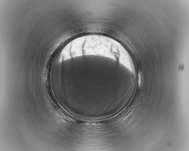 X0000093740723200711131101