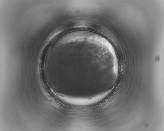 X0000093740724200711131101