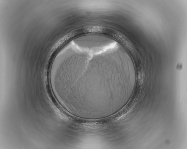 X0000093740725200711131101