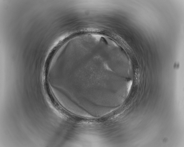 X0000093740726200711131101