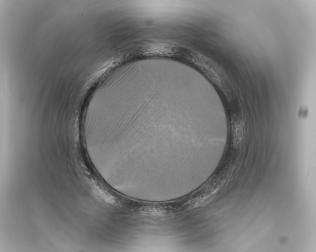 X0000093740729200711131101
