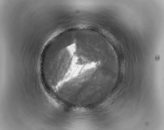 X0000093740730200711131101