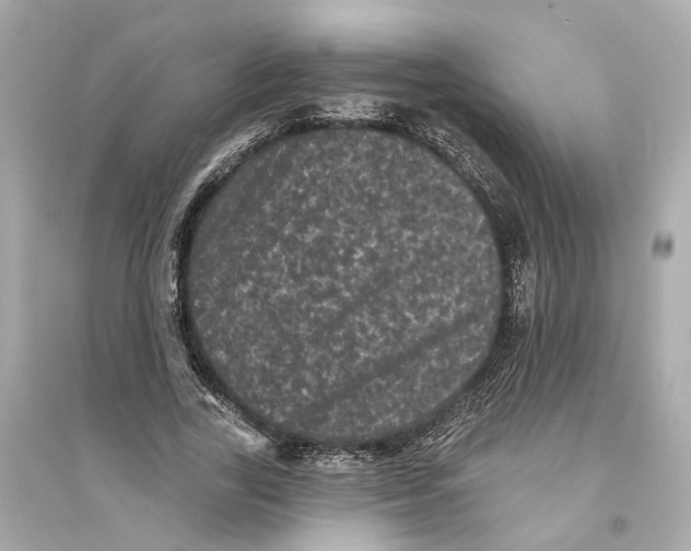 X0000093740731200711131101