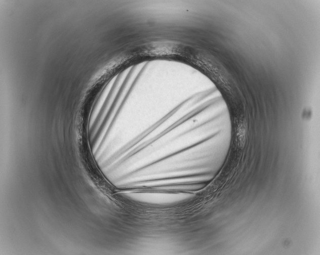X0000093740732200711131101