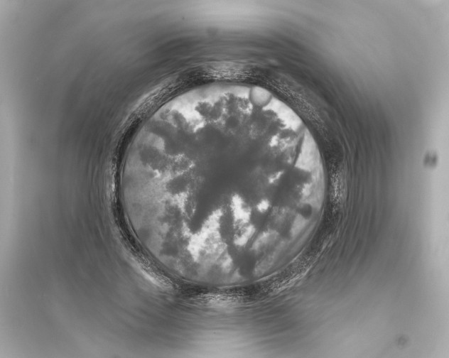 X0000093740733200711131101