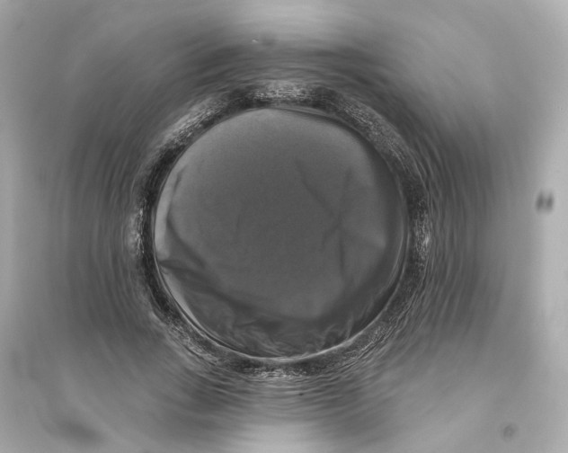 X0000093740735200711131101