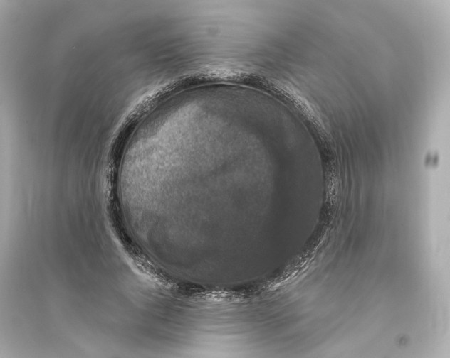 X0000093740736200711131101
