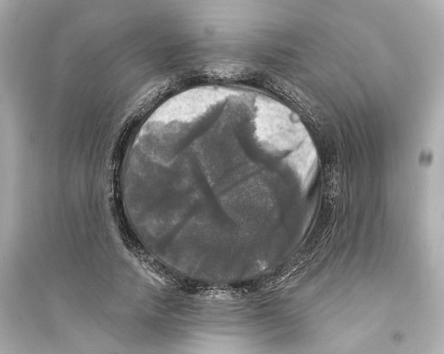 X0000093740738200711131101