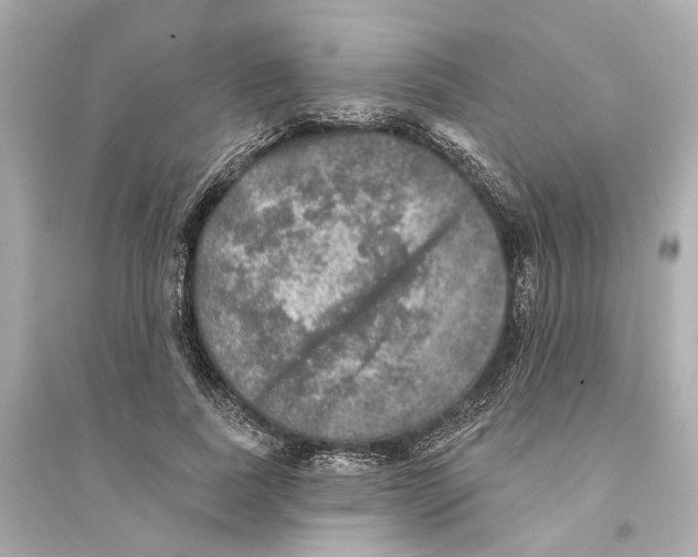 X0000093740739200711131101