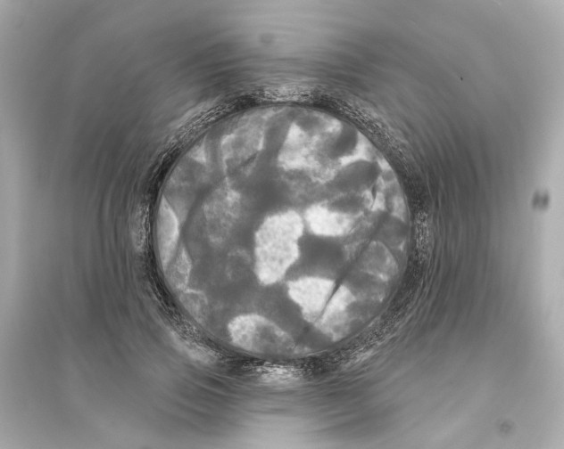 X0000093740741200711131101