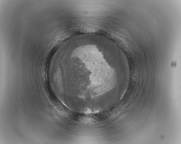 X0000093740743200711131101