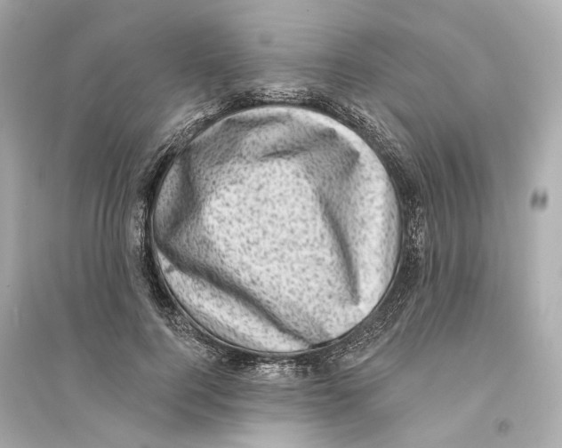 X0000093740744200711131101