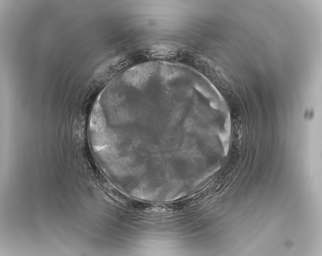 X0000093740745200711131101