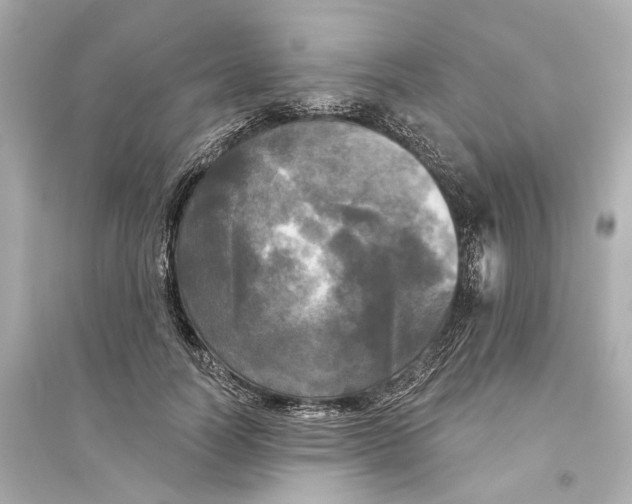 X0000093740746200711131101