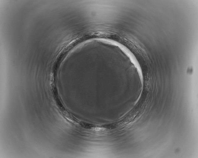 X0000093740748200711131101