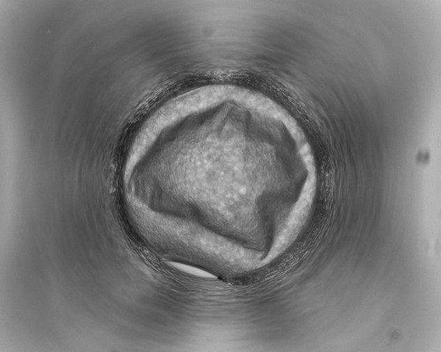X0000093740750200711131101