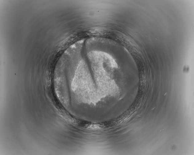 X0000093740751200711131101
