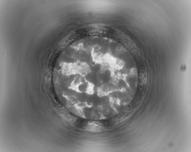 X0000093740753200711131101