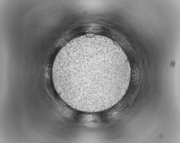 X0000093740755200711131101