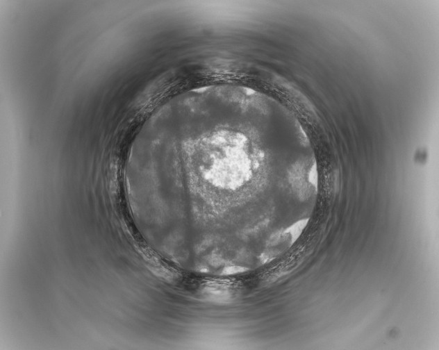 X0000093740757200711131101