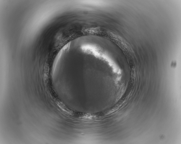 X0000093740760200711131101